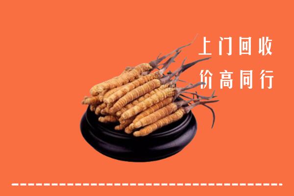 高价求购：雅安荥经县回收散虫草