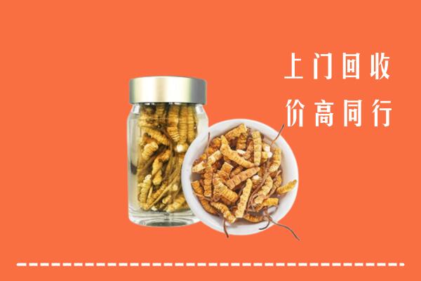 收购行情：雅安荥经县回收冬虫夏草